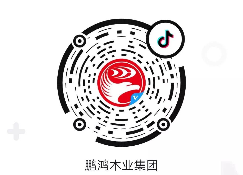 這廂有禮丨這個春節(jié)我最鴻，抖音相伴幸福年